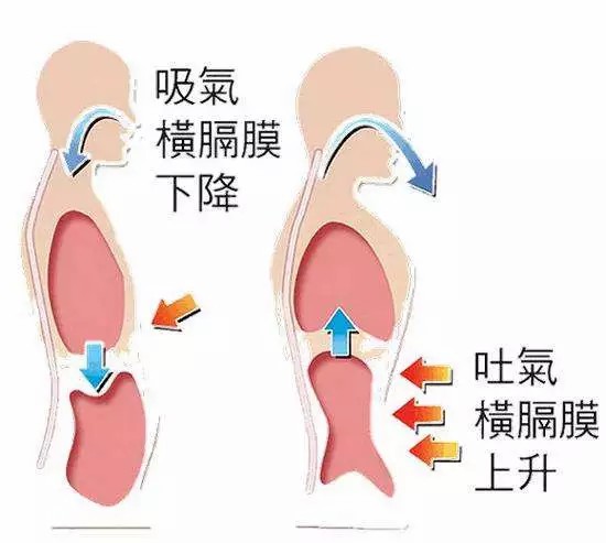 一分钟搞懂唱歌时的呼吸问题